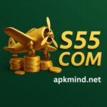s55 game