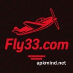 FLY33