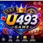 U493 Game