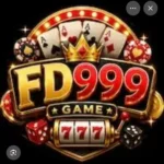 FD999 Game