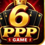 6PPP Game