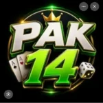 PK14 Game