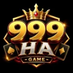 999HA Game