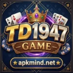 TD1947 Game